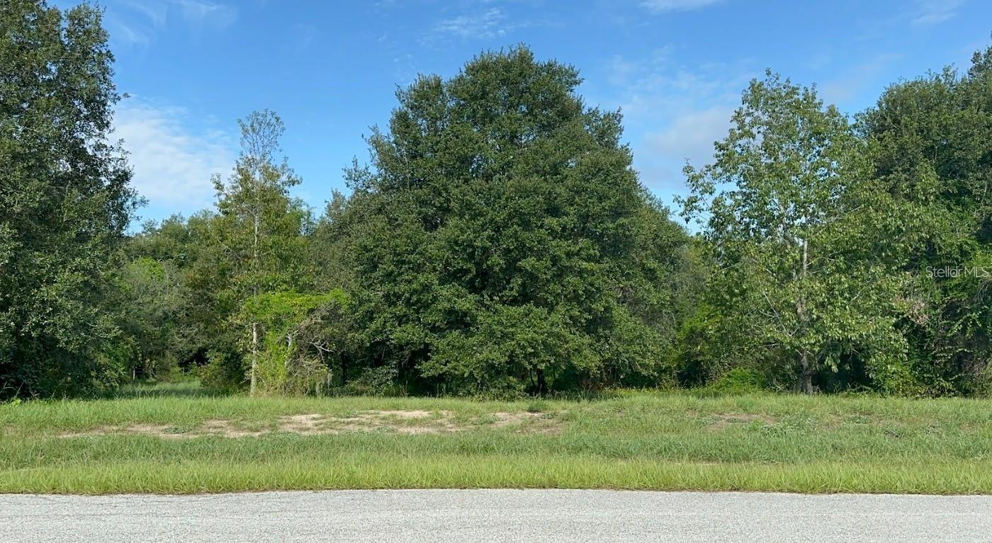 GREAT BLUE HERON ESTATES - Land