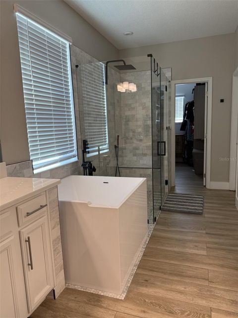 Tiny photo for 2196 Cedar Springs Way, Clermont, FL 34715 (MLS # O6358016)