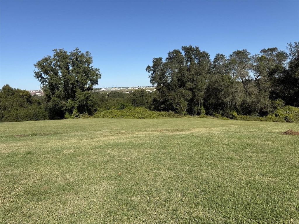 Photo of 2196 Cedar Springs Way, Clermont, FL 34715 (MLS # O6358016)