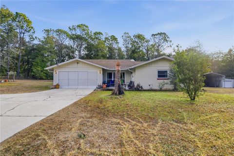 Photo of 8951 SW 202nd Avenue Road, Dunnellon, FL 34431 (MLS # TB8470833)