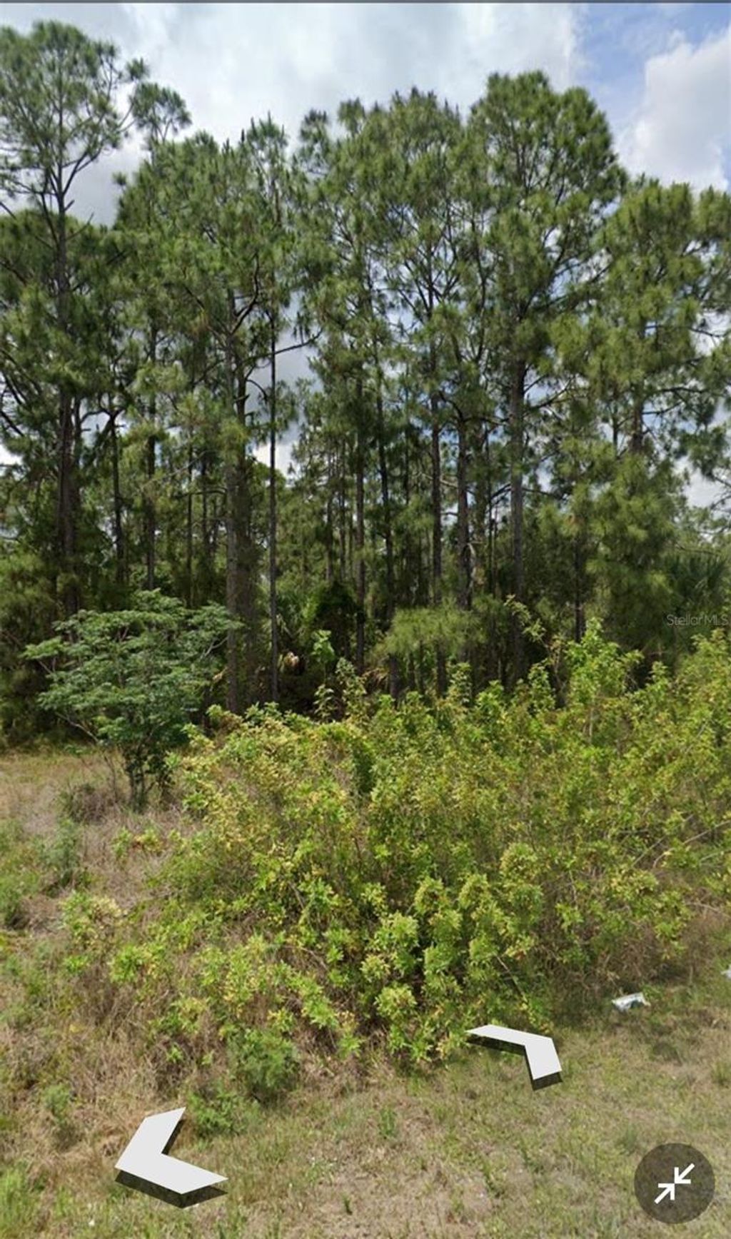 Photo of 809 Gerald Avenue, Lehigh Acres, FL 33936 (MLS # TB8387429)