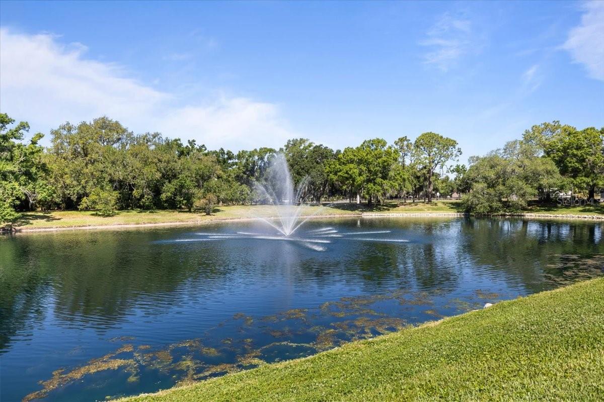 3428 BROOKRIDGE LANE