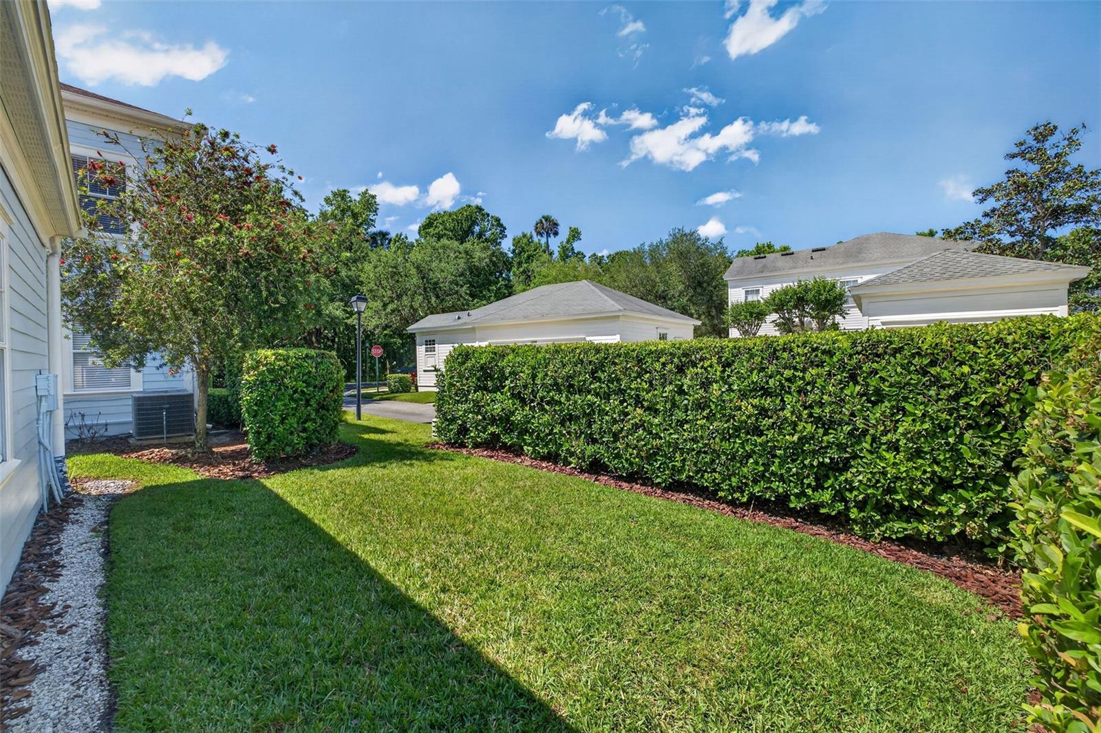 CELEBRATION ROSEVILLE CORNER - Residential