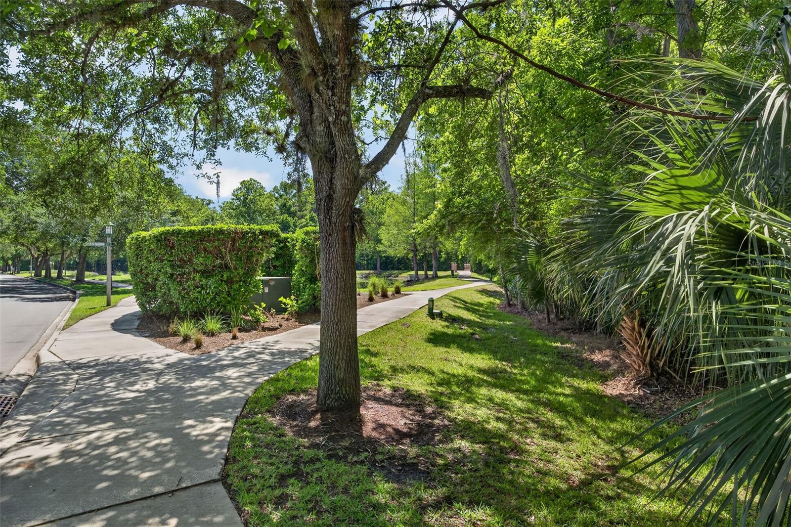 CELEBRATION ROSEVILLE CORNER - Residential