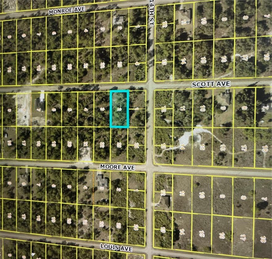 Great .50 Acre lot located in the Lehigh Acre Subdivision. This is the perfect opportunity to build your dream home or a spec home with plenty of room for a pool. Lot is located 35 minutes from the airport, 35 minutes from the beach. Easy access to schools, banks, shopping, and the I-75.