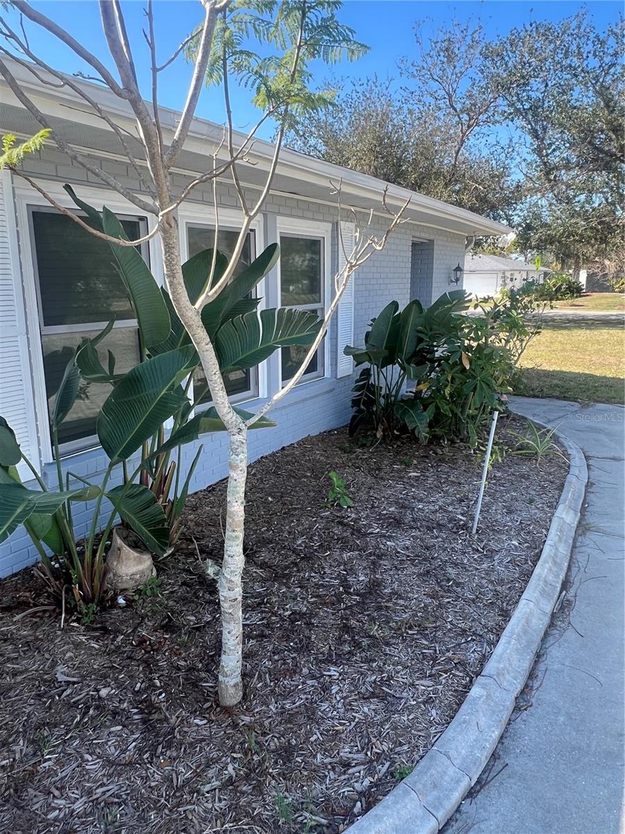 PORT CHARLOTTE SEC 007 - Residential