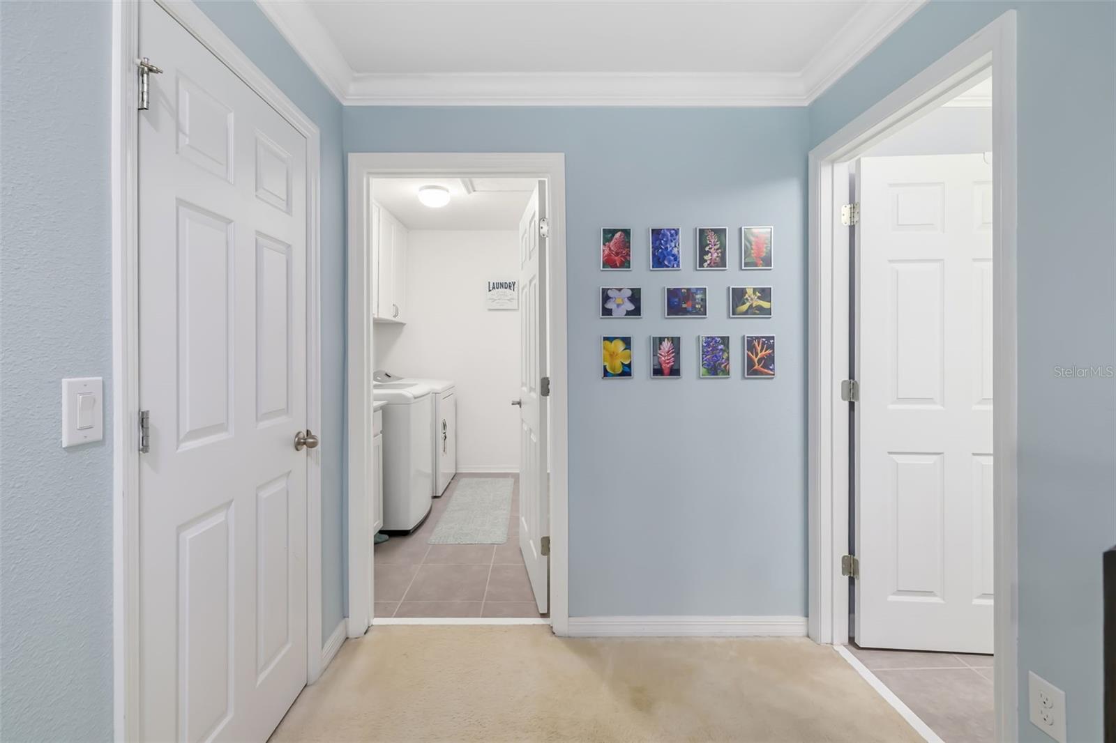 RAVEN CREST - Residential