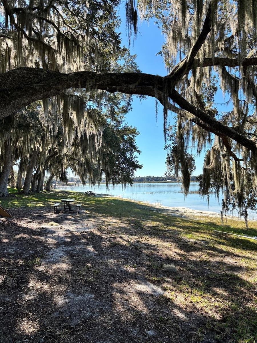 SALT SPRINGS RESORT CONDOMINIUM - Land