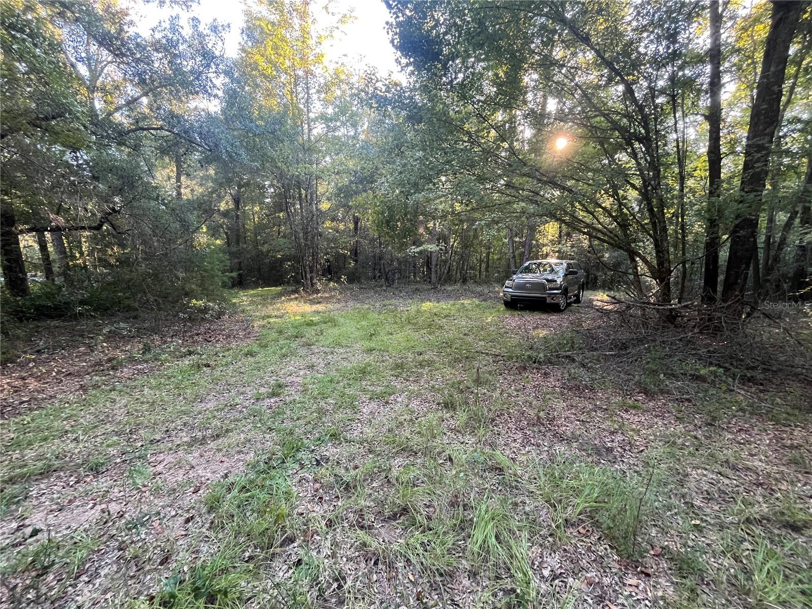 OLD FEDERAL ROAD