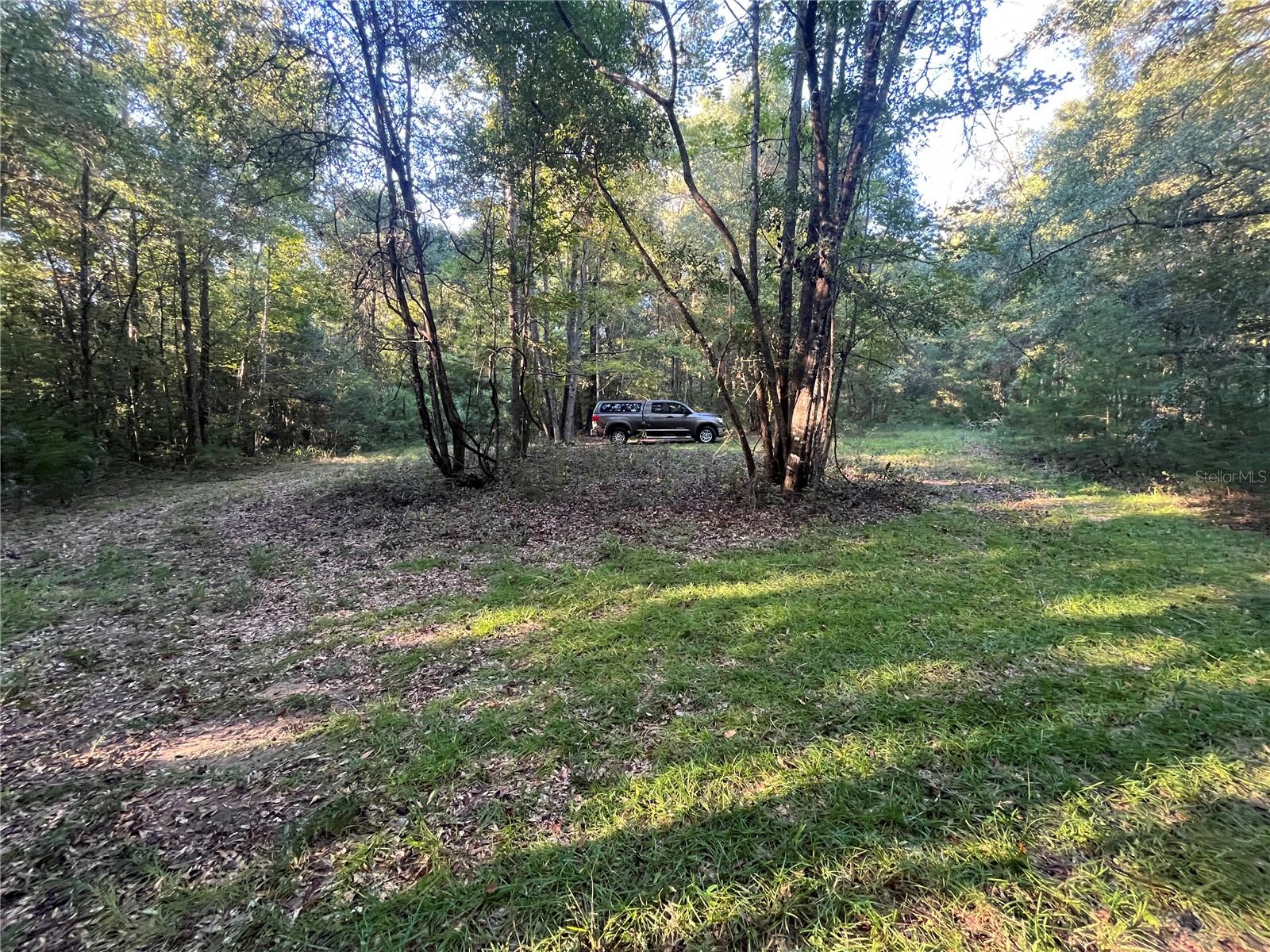 OLD FEDERAL ROAD