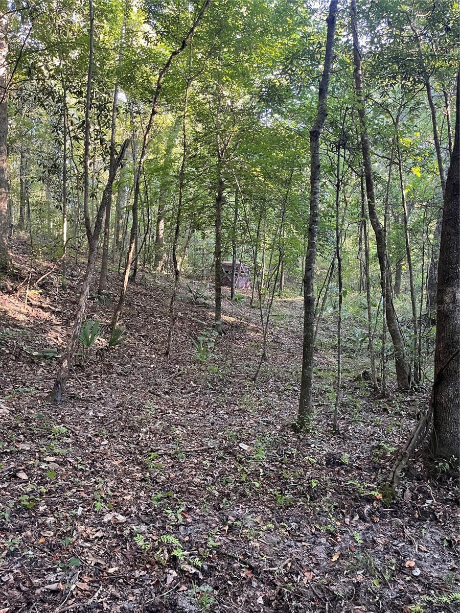 OLD FEDERAL ROAD