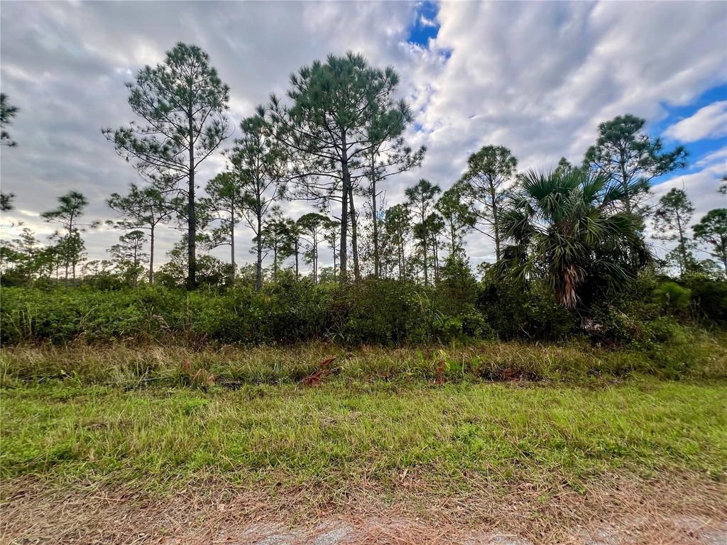 Photo of 467 Hanscom Street, Port Charlotte, FL 33953 (MLS # C7501801)