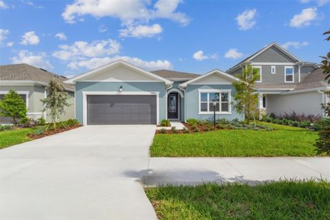 Photo of 11821 Mile Marsh Drive, Riverview, FL 33569 (MLS # TB8426594)