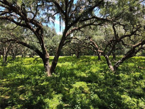 Tiny photo for 1220 N Us Highway 41, Dunnellon, FL 34432 (MLS # GC533103)