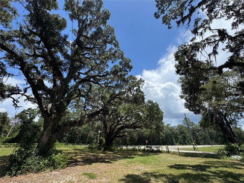 Tiny photo for 1220 N Us Highway 41, Dunnellon, FL 34432 (MLS # GC533103)