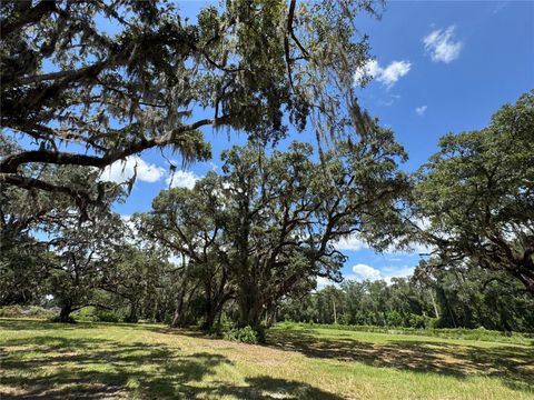 Tiny photo for 1220 N Us Highway 41, Dunnellon, FL 34432 (MLS # GC533103)
