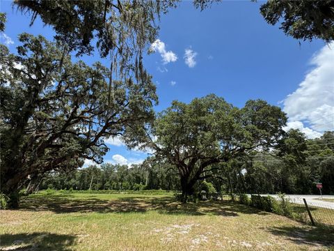 Tiny photo for 1220 N Us Highway 41, Dunnellon, FL 34432 (MLS # GC533103)