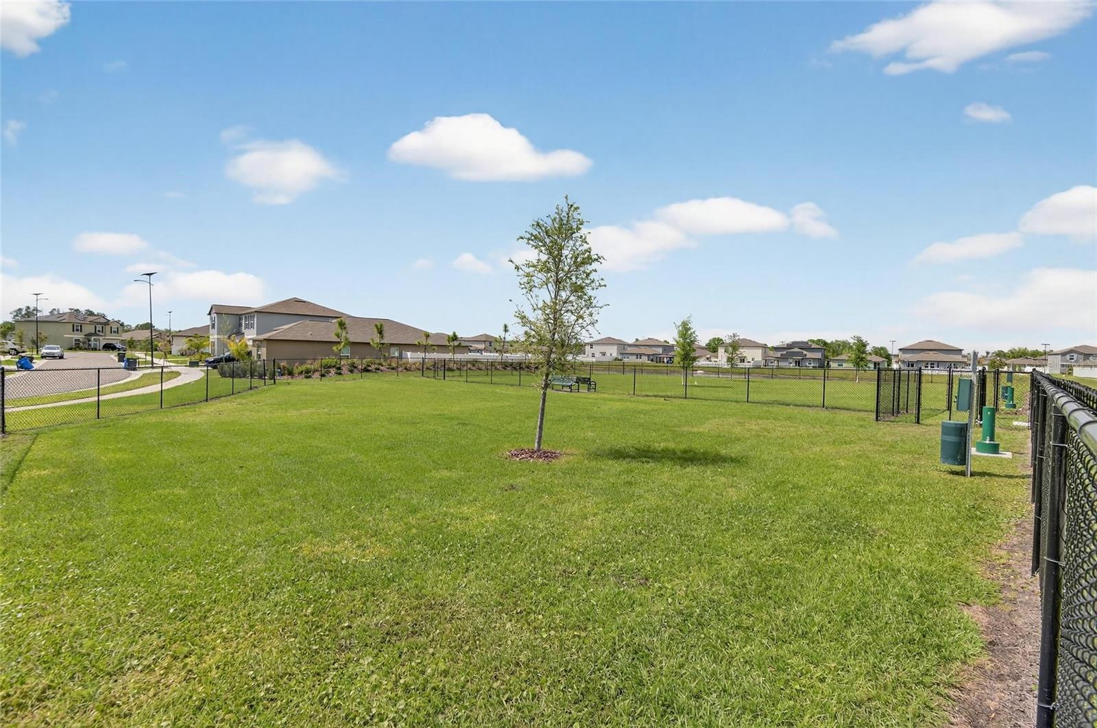 TRIPLE CREEK VILLAGE N AND P LOT 262 - Residential