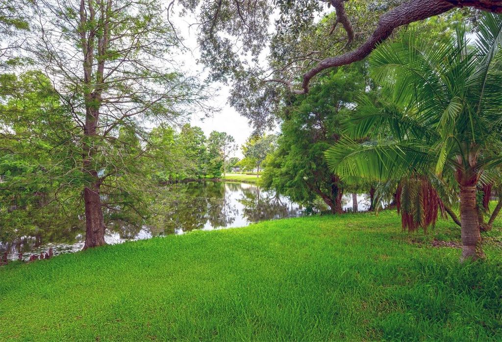 Photo of 10346 Abbotsford Drive, Tampa, FL 33626 (MLS # TB8420114)