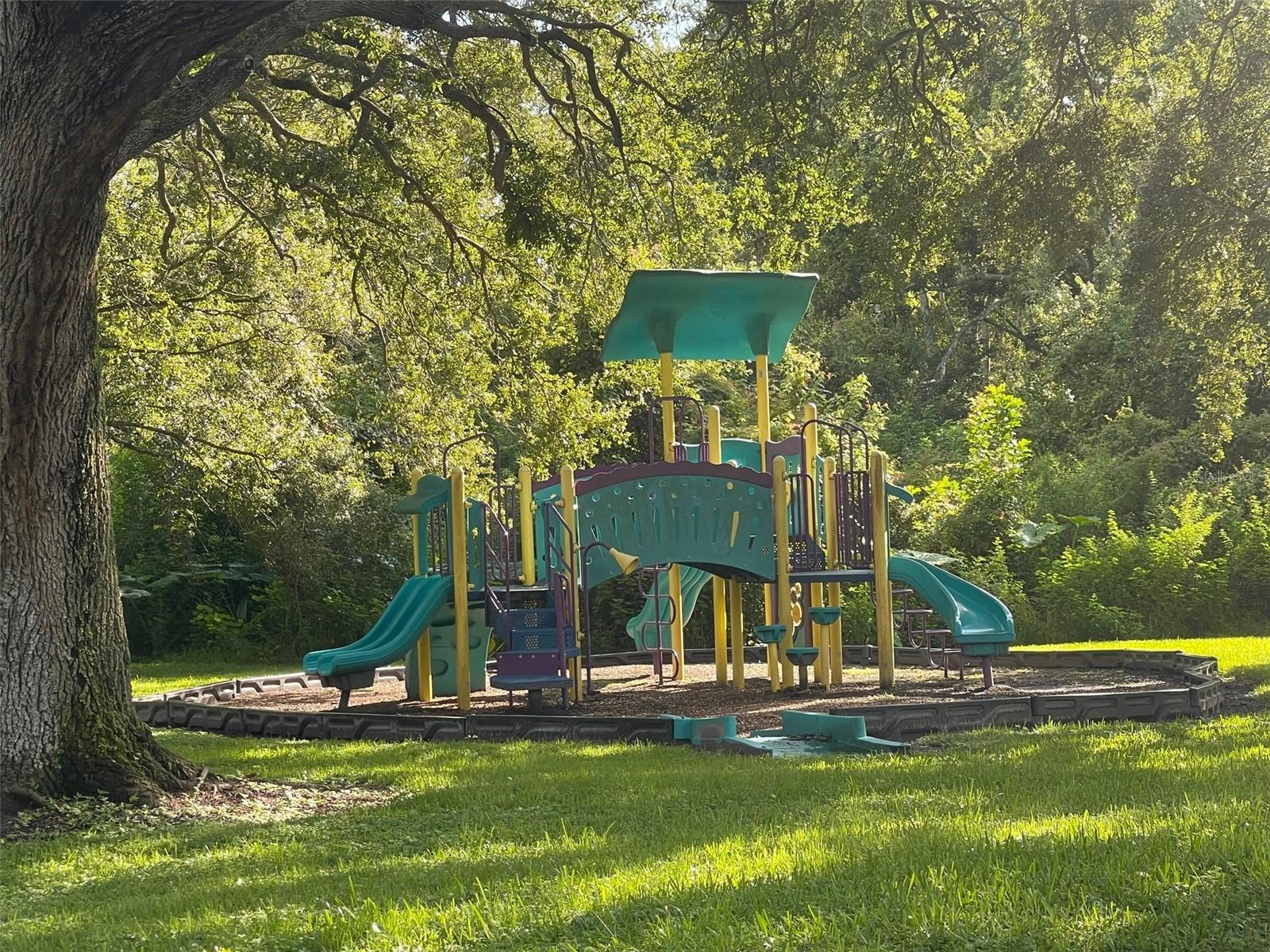 MEADOWLAKE PALM HARBOR CONDO - Residential Lease