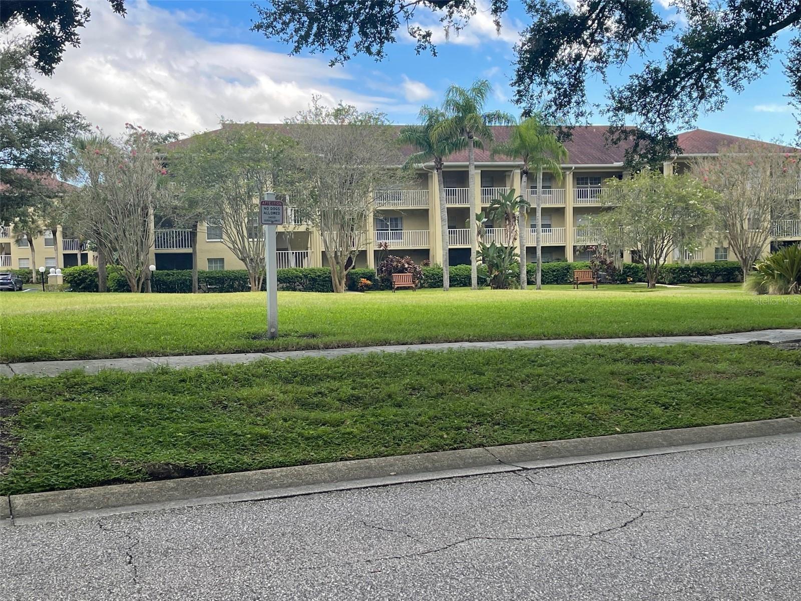 MEADOWLAKE PALM HARBOR CONDO - Residential Lease