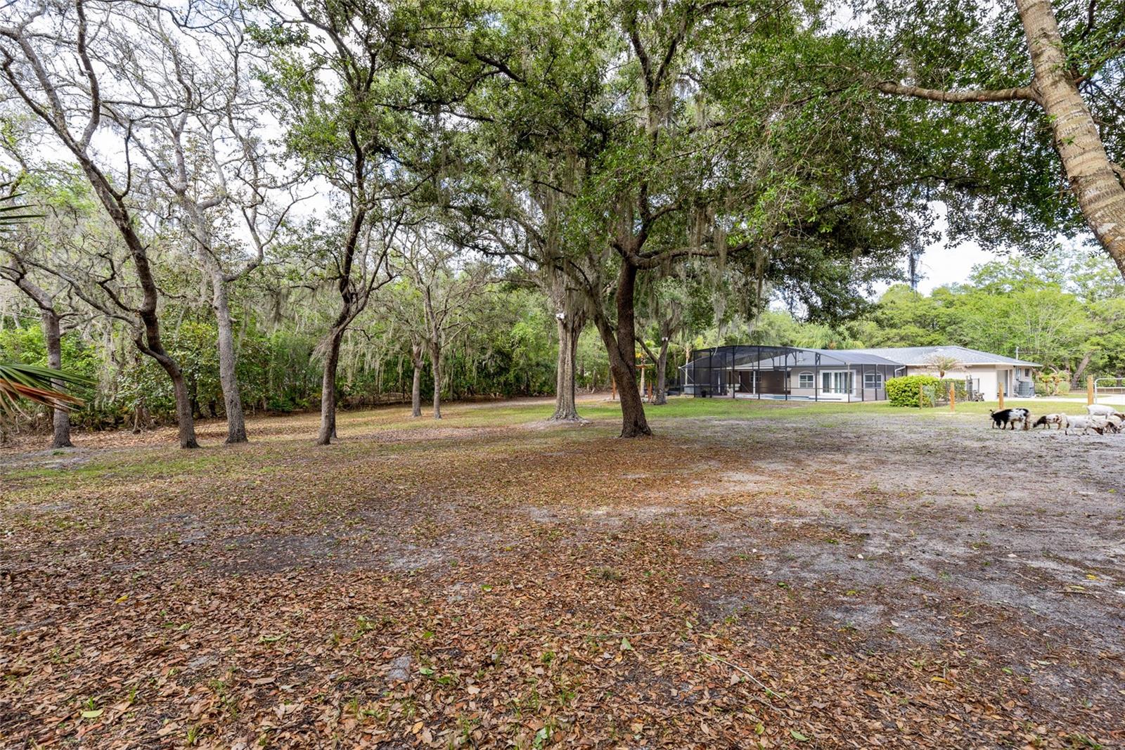 NORTH ORLANDO RANCHES SEC 04 - Residential