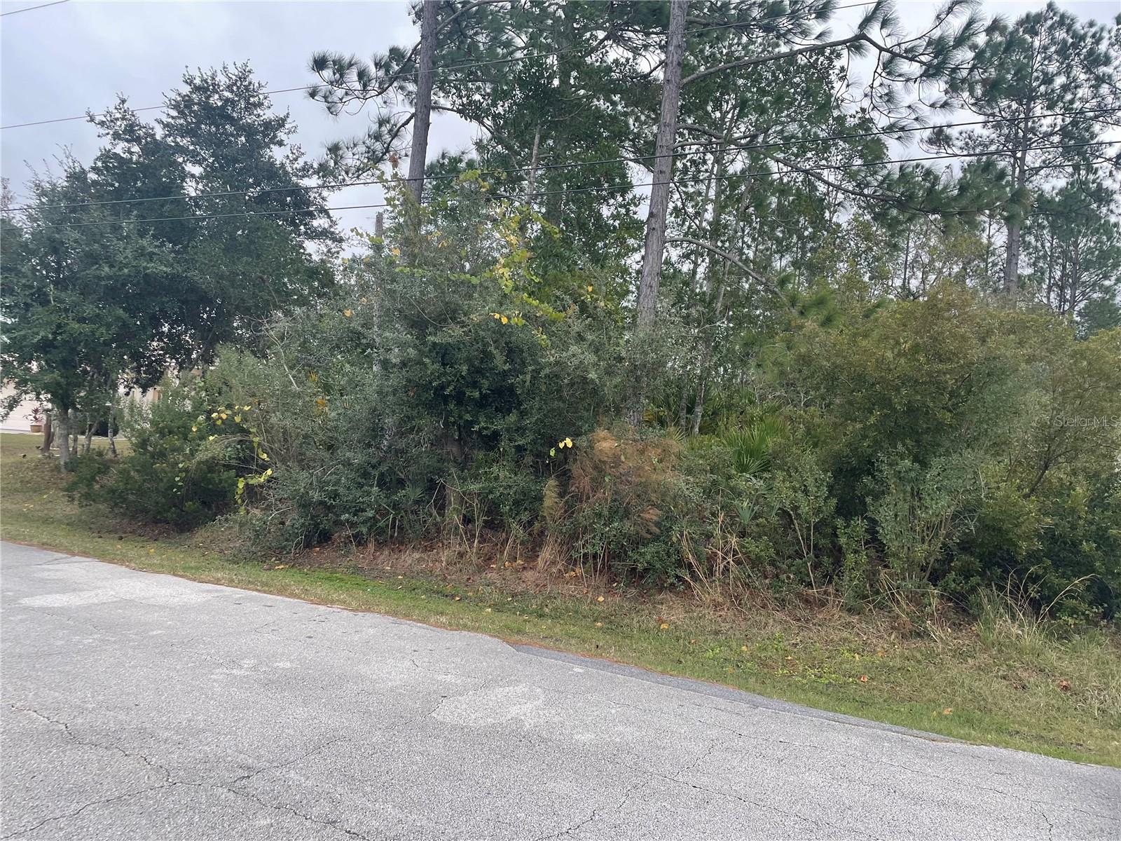 PALM COAST SEC 31 - Land