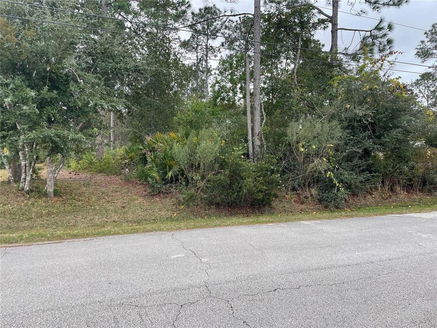 Build your home on this nice piece of property in this established nice residential neighborhood  Close to  schools, major roadways, and plenty of shopping in Palm Coasts Town Center.  All information deemed reliable but not guaranteed.