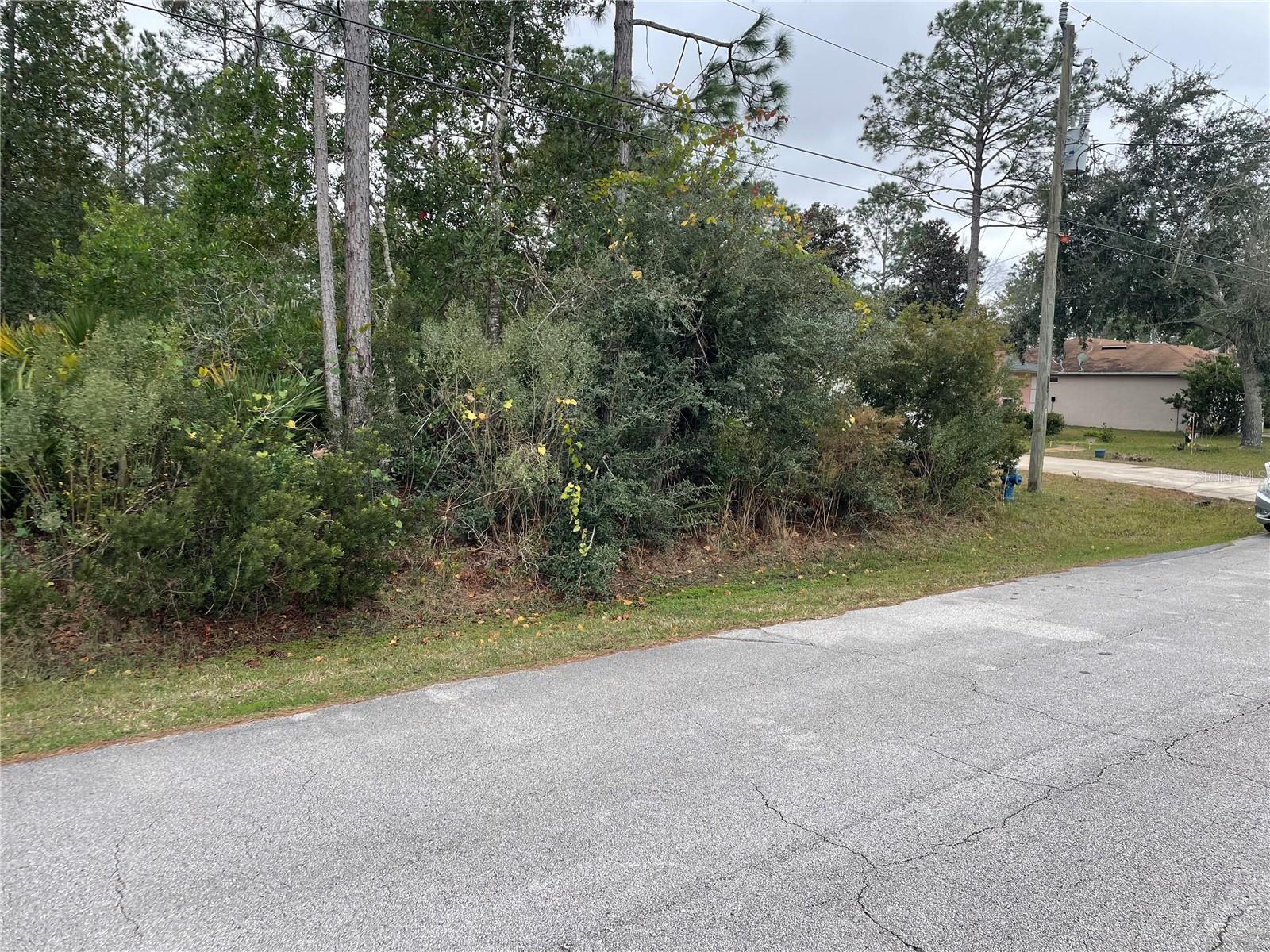 PALM COAST SEC 31 - Land