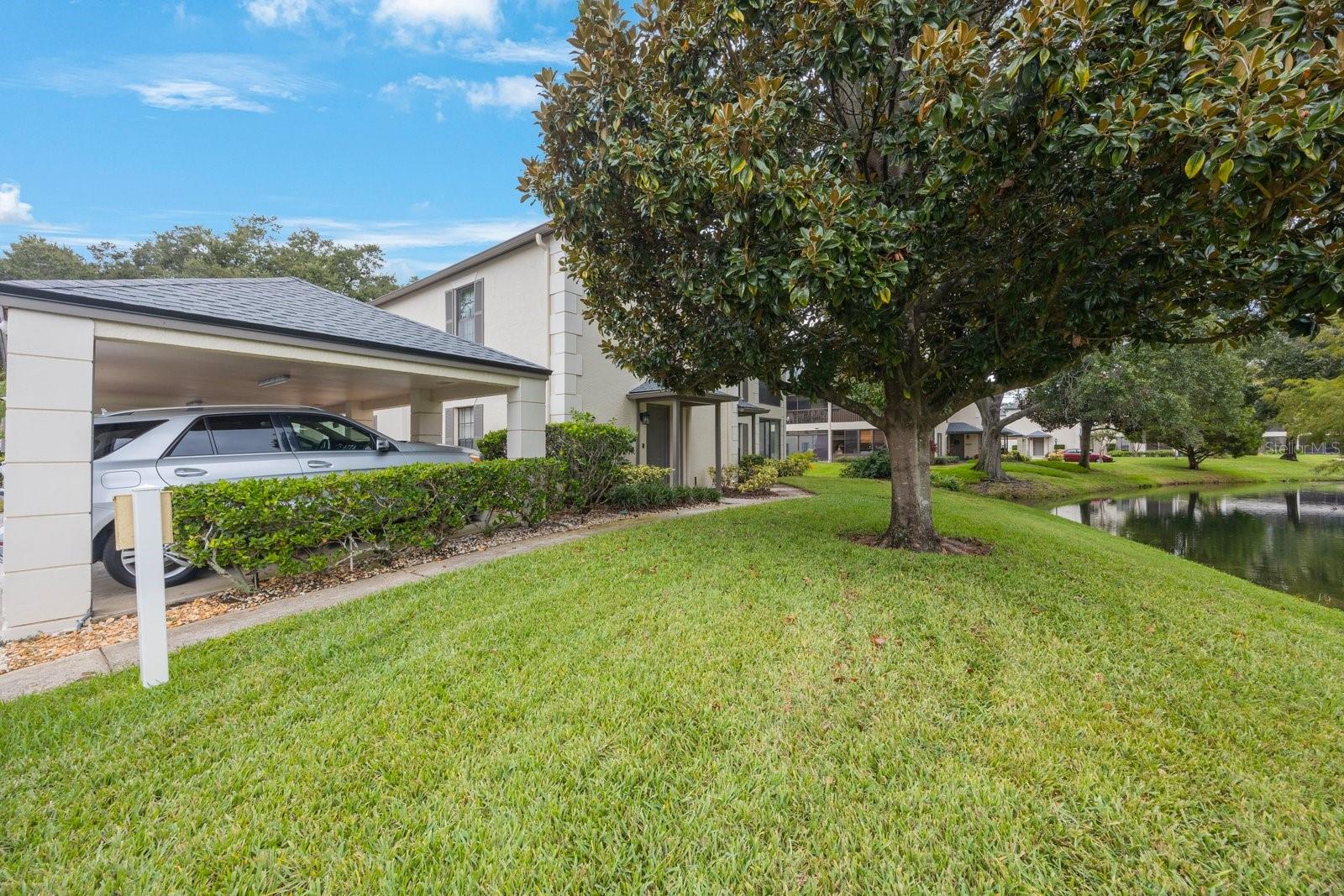 CARROLLWOOD VILL CHASE PH 6 - Residential