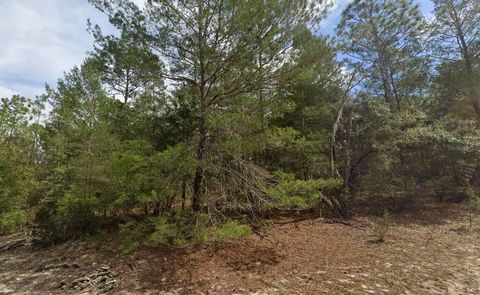 522 JANET AVENUE INTERLACHEN FL 32148