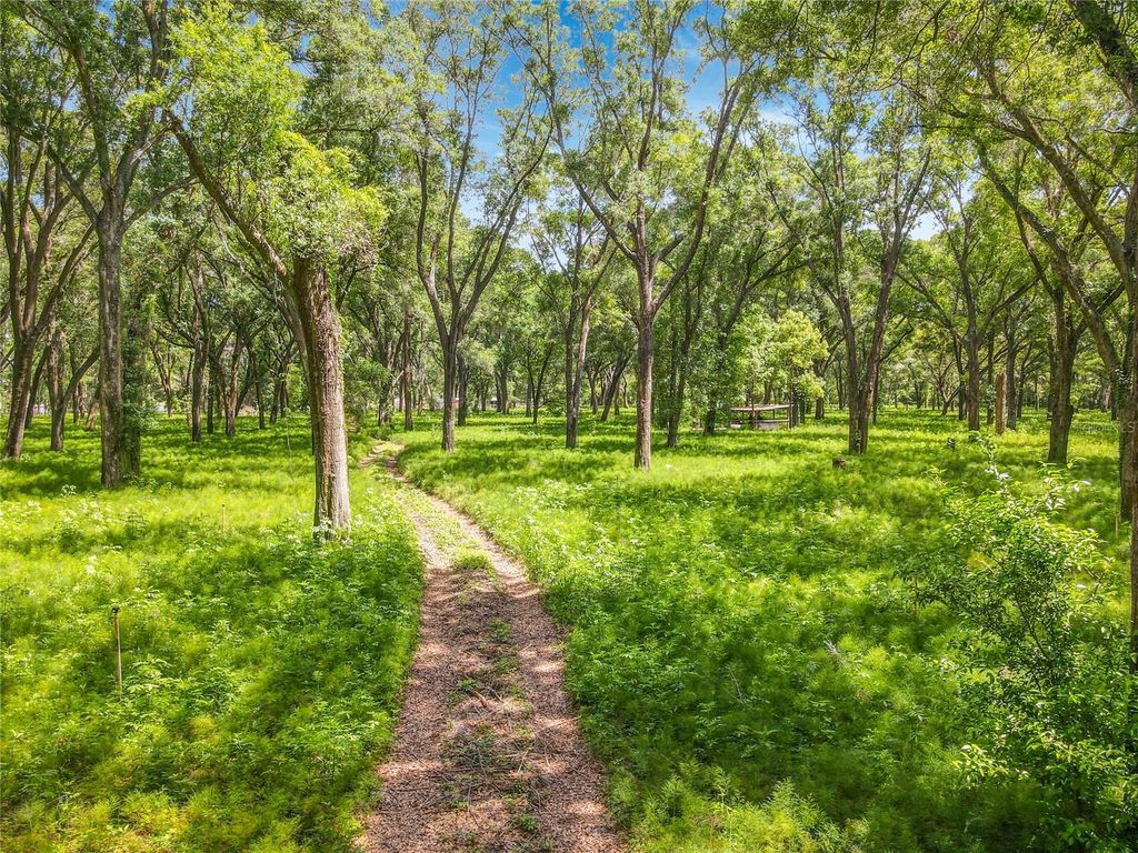 Photo of 164 Denver Road, Crescent City, FL 32112 (MLS # V4948318)