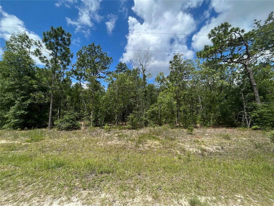 Build your Home or bring your new Mobile Home to this peaceful wooded lot. Power poles on street making it easier to get power. Keystone Heights offers many lakes for water sports, Gold Head State Park for exploring and camping, along with trails for bicycling. Town is centered between Palatka, Gainesville and Jacksonville. Owner financing available