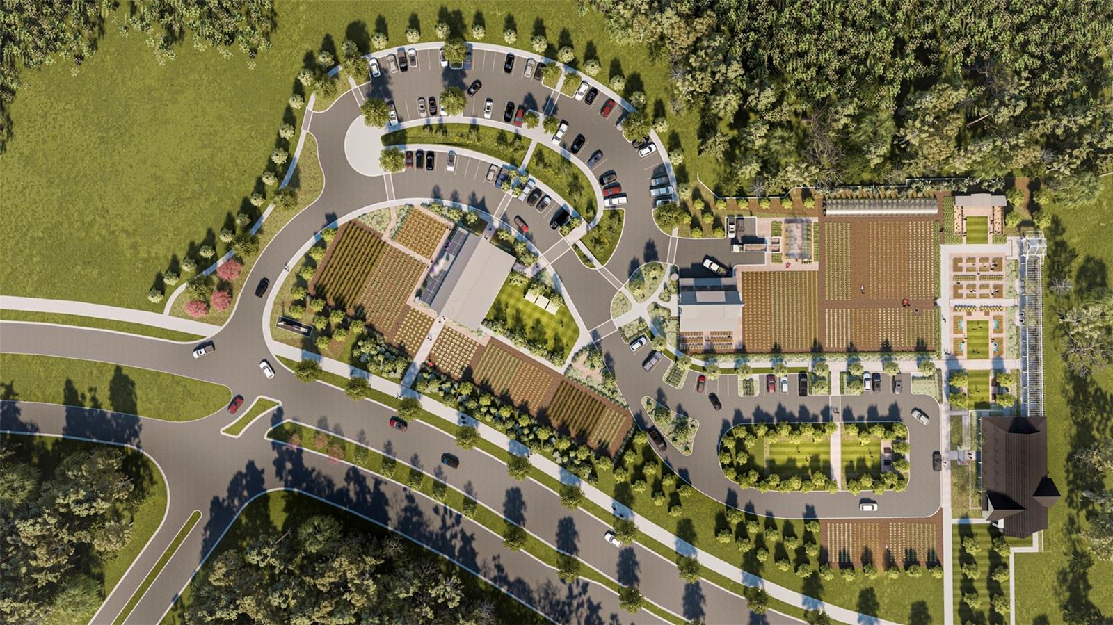 ANGELINE -ACTIVE ADULT - Residential