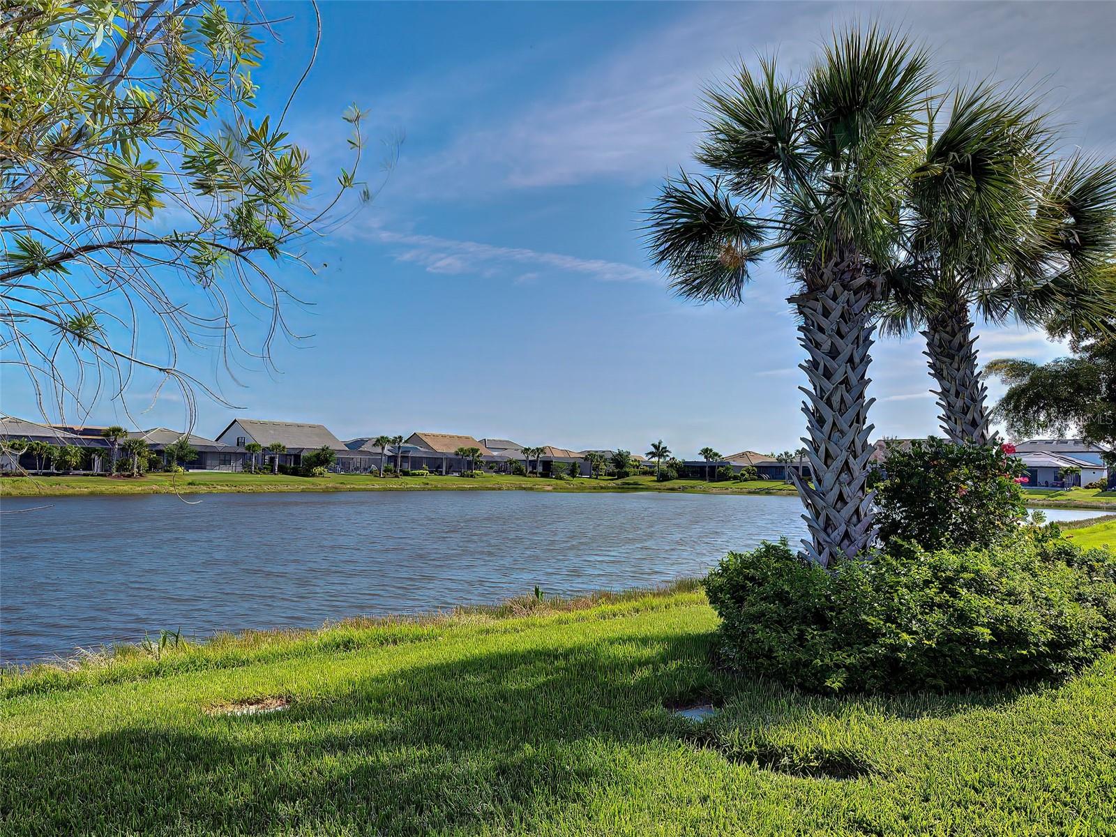 13146 BORREGO STREET