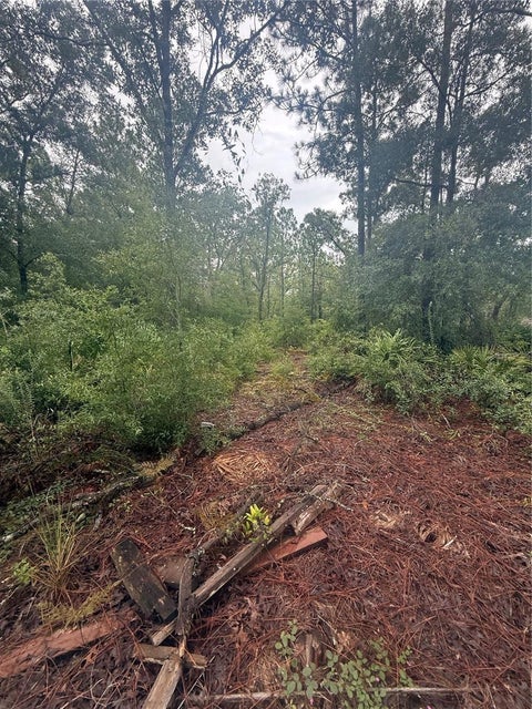 Tiny photo for 1393 S Candlenut Avenue, Homosassa, FL 34448 (MLS # TB8544068)