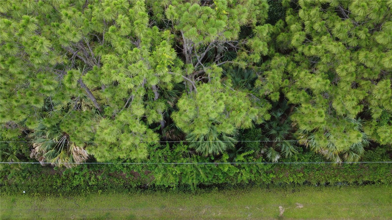 PORT CHARLOTTE SUB 05 - Land