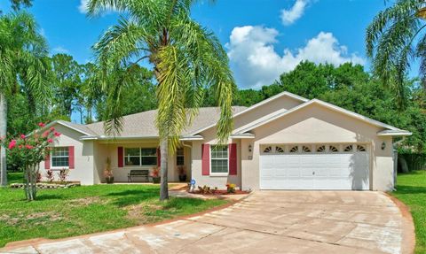 A home in PALM COAST