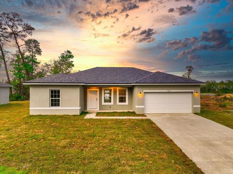 Photo of 9809 N Swanee Terrace, Dunnellon, FL 34433 (MLS # O6361801)