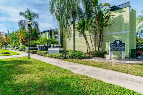 A home in TAMPA