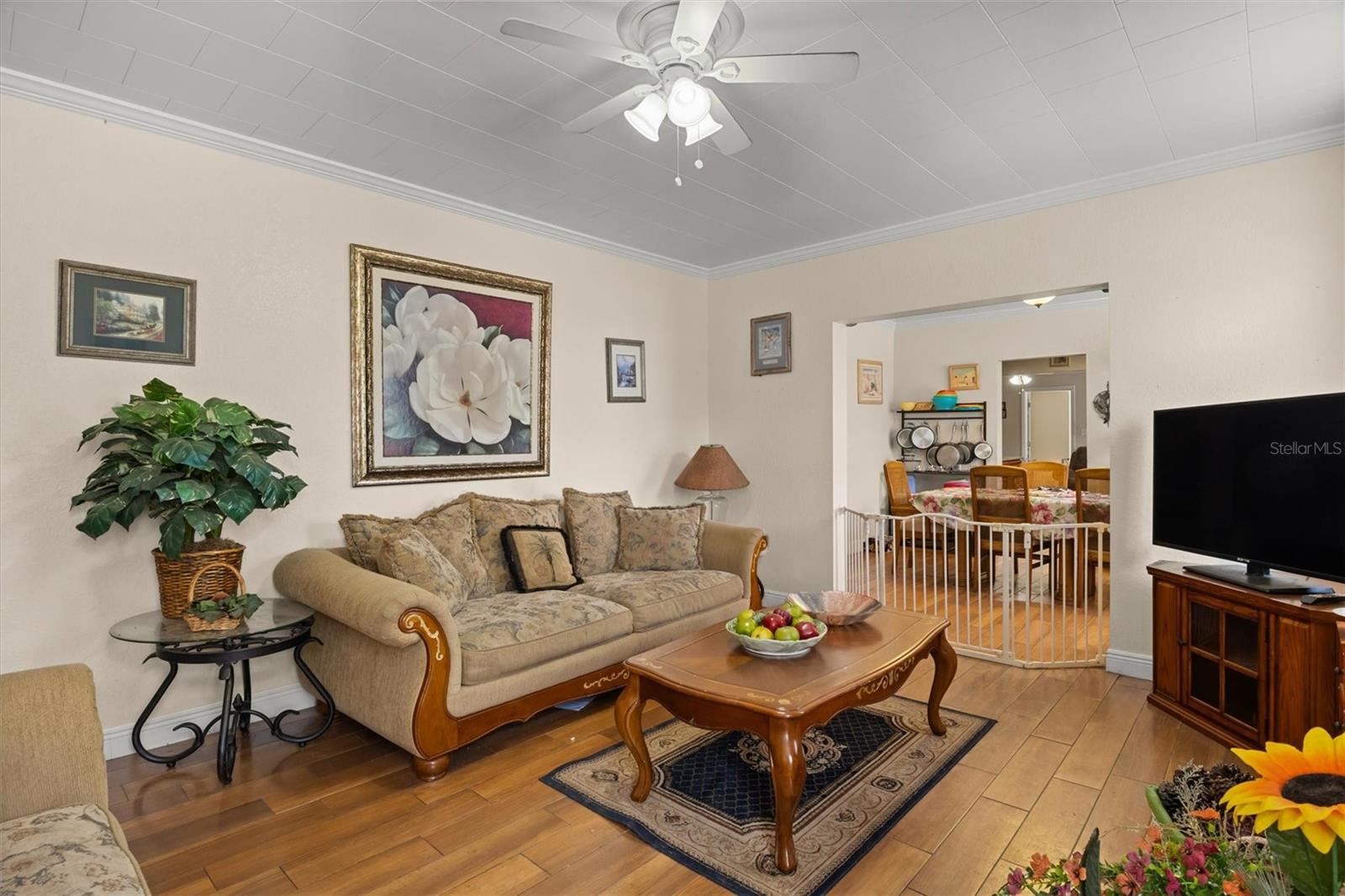 ORANGE PARK - Residential