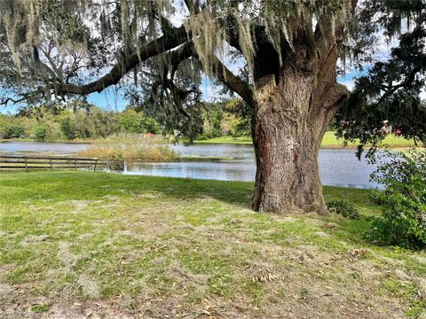 Tiny photo for 5890 SE 145th Street, Summerfield, FL 34491 (MLS # OM687896)