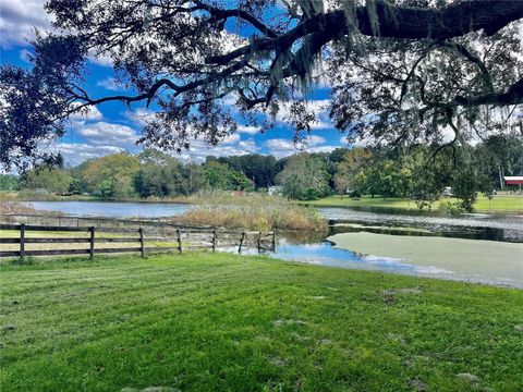 Photo of 5890 SE 145th Street, Summerfield, FL 34491 (MLS # OM687896)