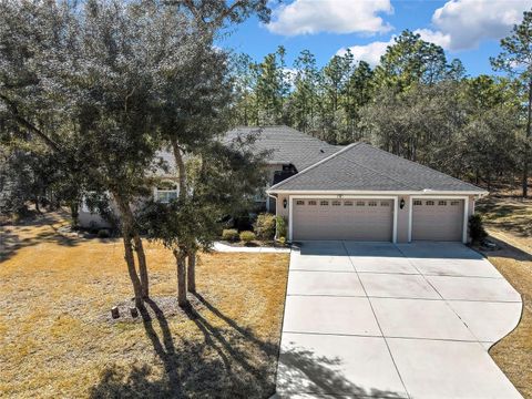 Tiny photo for 10 Milbark Court, Homosassa, FL 34446 (MLS # TB8487747)