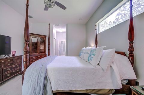 Tiny photo for 10 Milbark Court, Homosassa, FL 34446 (MLS # TB8487747)