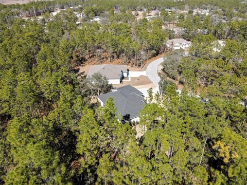 Tiny photo for 10 Milbark Court, Homosassa, FL 34446 (MLS # TB8487747)