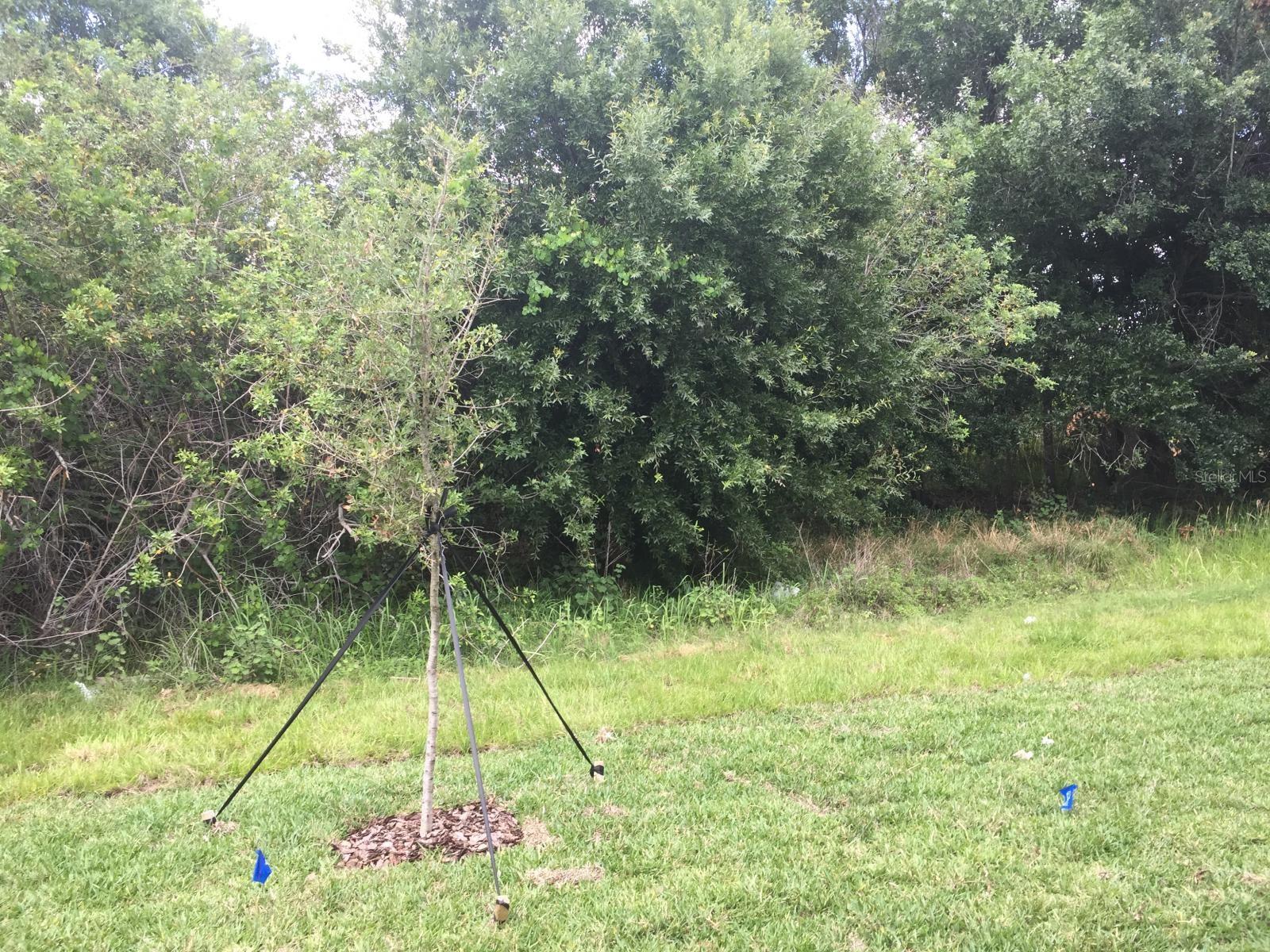 CYPRESS CRK PRCL K PH 3 - Residential Lease