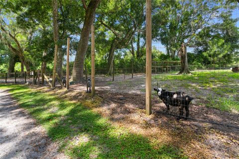 Tiny photo for 889 SW 165th Street, Ocala, FL 34473 (MLS # OM700260)