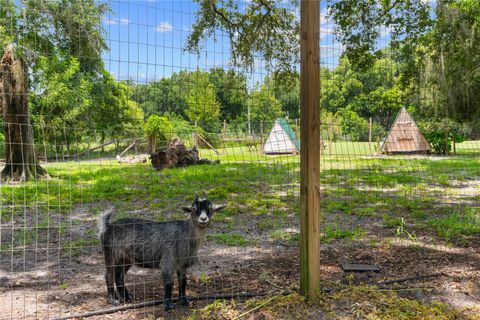 Tiny photo for 889 SW 165th Street, Ocala, FL 34473 (MLS # OM700260)