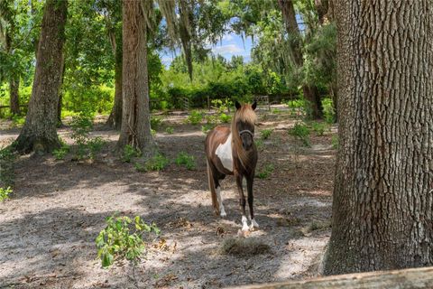 Tiny photo for 889 SW 165th Street, Ocala, FL 34473 (MLS # OM700260)